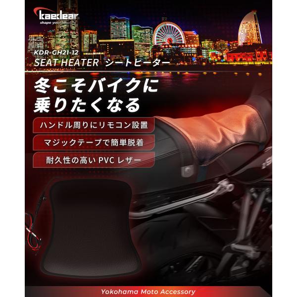 kaedear_kdr-gh21-12_3_d_20231204191132