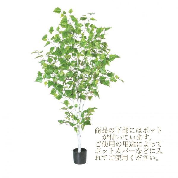 バーチツリー ポット付き インテリア 人工観葉植物 Asca アスカ 造花 お祝い A Buyee Buyee 일본 통신 판매 상품 옥션의 대리 입찰 대리 구매 서비스