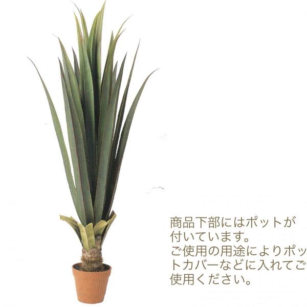 アロエポット インテリア 人工観葉植物 Asca アスカ 造花 お祝い A Buyee Buyee Japanese Proxy Service Buy From Japan Bot Online