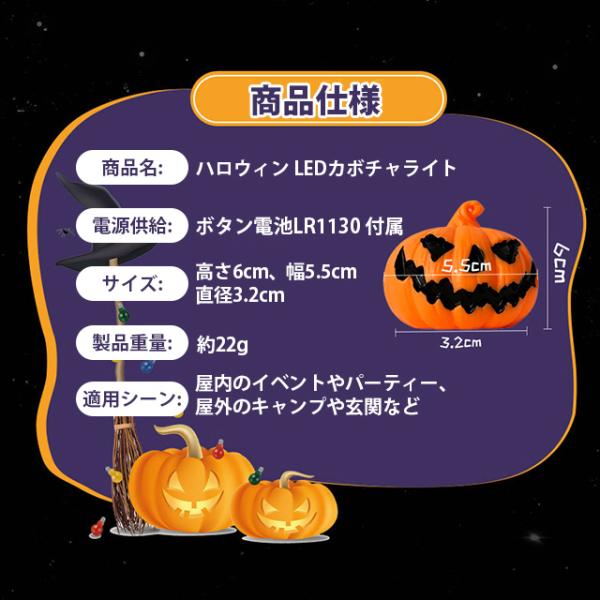 kaeru-store_ngdeng_4_d_20240929162724