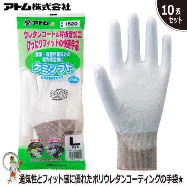 P~\tgƖp #1520  Ag Ɩp܁@10oZbg@w܁yʎn/_/|//@舵Ȃǁz