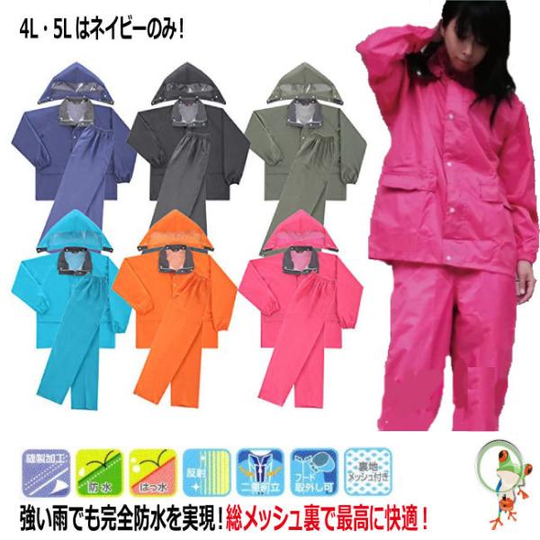 CEFA H OiS COh2y4LE5Lz傫TCY CX[c ㉺Zbg jp Y fB[X ] ʊw Cws