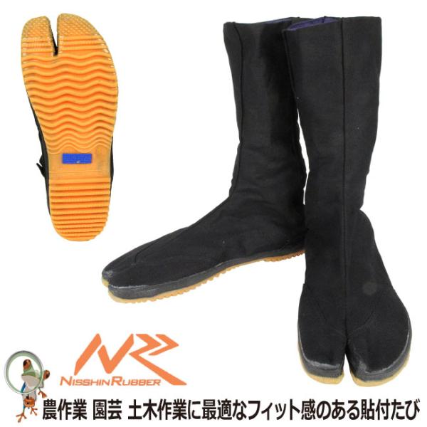 n iS 12n \t Y | _ y؍ K[fjO ƌC