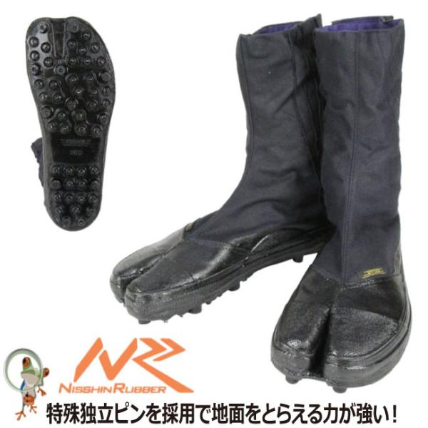 n iS JSV[Y 8R XpCN y8XpCN Y fB[X | _ y؍