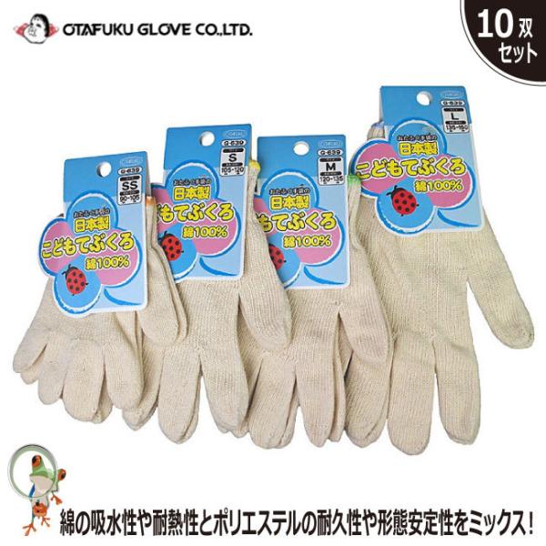 ӂ ǂp Ȏ 10og G-639 Ǝ O[u LbY WjA q wZ O ъԊwZ  _Ƒ̌ R