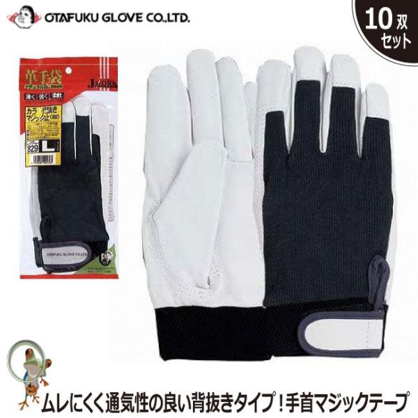  v ӂ J[w}WbN~ JW-829 10oZbg ؊v ʋC v }WbN tBbg _炩