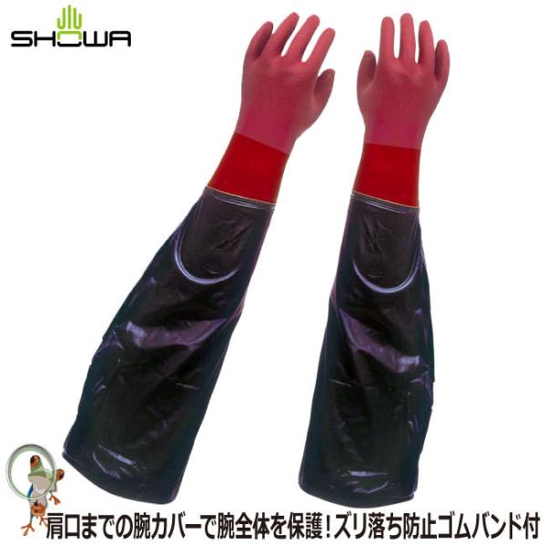 kaerukamo_showa-g-004