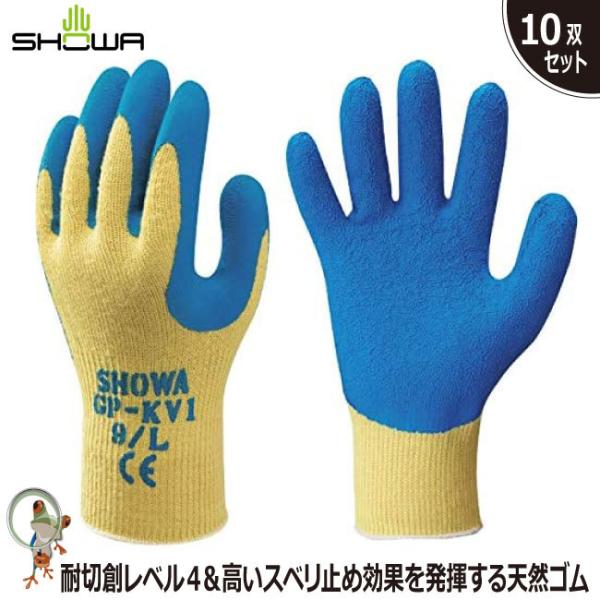  ϐؑn V[ GP-KV1 VRS 10o Pu[ Xx~ tBbg w