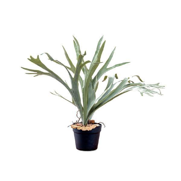 観葉植物 造花 インテリア フェイクグリーン おしゃれ 人工 プレゼント お祝い ギフト 日陰 高級 アンティーク 北欧 大きい 大型 室内 玄関 葉っぱ コウモリ蘭 Abt 8459 家具 インテリア通販アットカグ 通販 Yahoo ショッピング