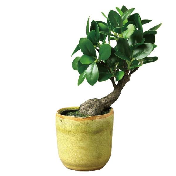 観葉植物 造花 インテリア フェイクグリーン 人工 プレゼント お祝い アンティーク 北欧 小さい 卓上 ミニ 小型 室内 玄関 陶器 鉢 盆栽 ガジュマル 木 葉っぱ Abt 8481 家具 インテリア通販アットカグ 通販 Yahoo ショッピング