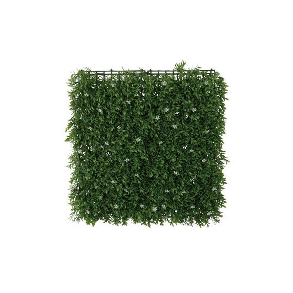 観葉植物 目隠し みんな探してる人気モノ 観葉植物 目隠し