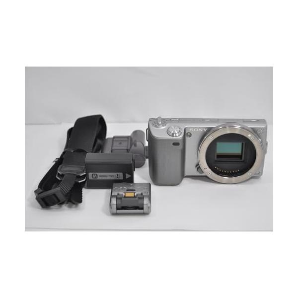 SONY ミラーレス一眼 α NEX-5ボディ カラー：シルバー : kagayaki