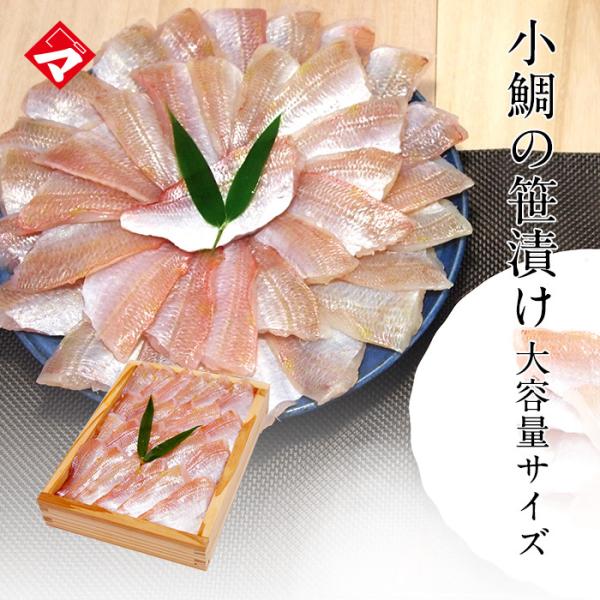 Ɩp ̍Ђ ՂeʃTCYy䌅500gEؔEzz̍Ђ M5.5 j Ԃ c j yNEz