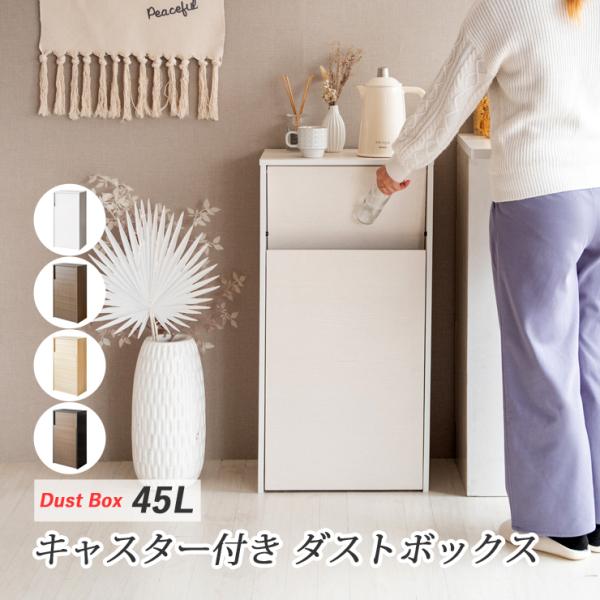 ゴミ箱 おしゃれ 45l 45L スリム ふた付き ダストボックス キャスター