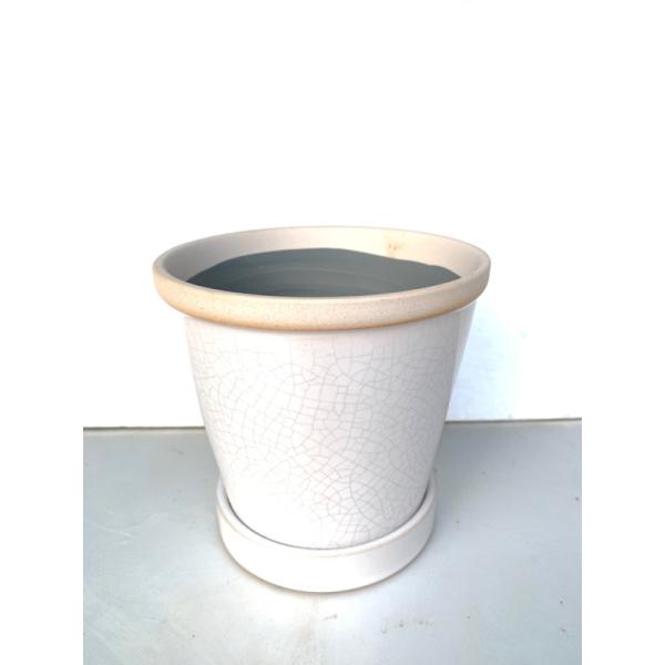 ベゴニアにも相応しい陶器鉢　４号サイズベゴニアの苗10.5cmポットがすっぽり収まる丁度良いサイズサイズは直径12センチなので、直接の植え込みなどベゴニアの植え替えにおすすめ！白はどんな植物とも合いますが、とりわけ水玉模様のはっきりした葉の...