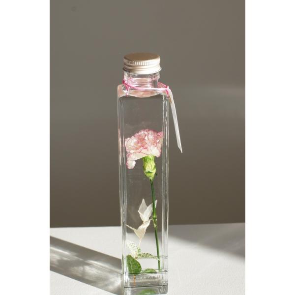 ハ―バリウム=植物標本　その由来に忠実に、花咲く姿をそのまま愛でて頂く、ハ―バリウムです。特別な手法（特許出願中）で生花そのままの姿をドライにし、封入。花一輪の姿にとことんこだわってお作りしています。カーネーションでも、ピコティが愛らしい品...