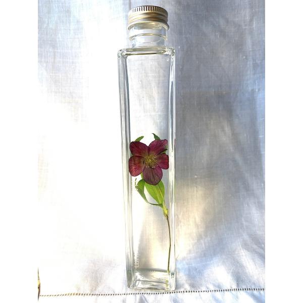 kagoen-nursery_hshbn1