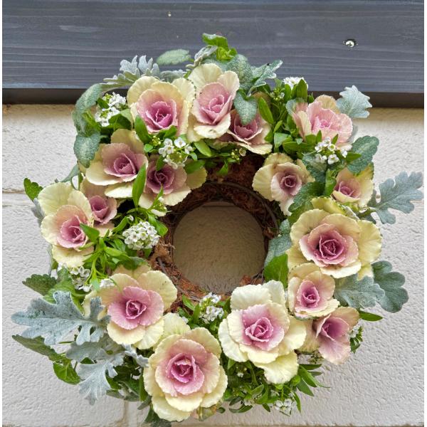 冬の風物詩葉ボタンをバラのように見立てた、冬の大人気のリースLa　Vie　en rose Wreath  心がとろけるような、色合い　人生バラ色　葉ボタンリース現品をお届けします根付きの状態で、用土を使用せず、ベラボンというヤシの実のいチッ...