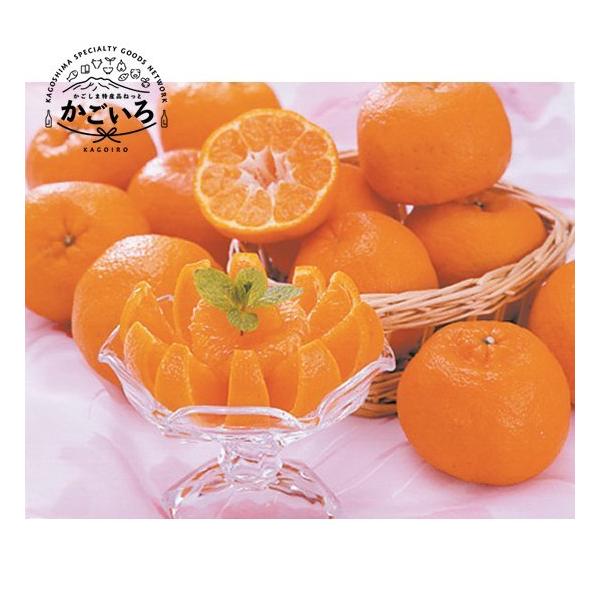 y\񒆁Izvۂ񂩂iTkgj&lt;ef炶&gt;