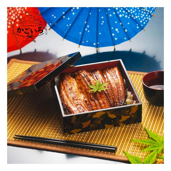 大トロうなぎ蒲焼155g×4尾セット＜鯉家＞
