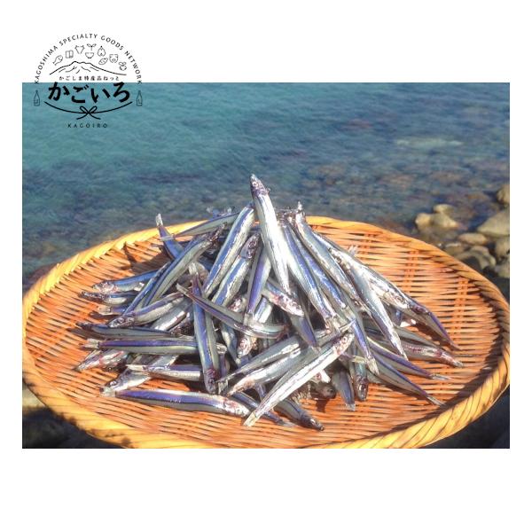 тȂVip500gjnꐅYHꁄ