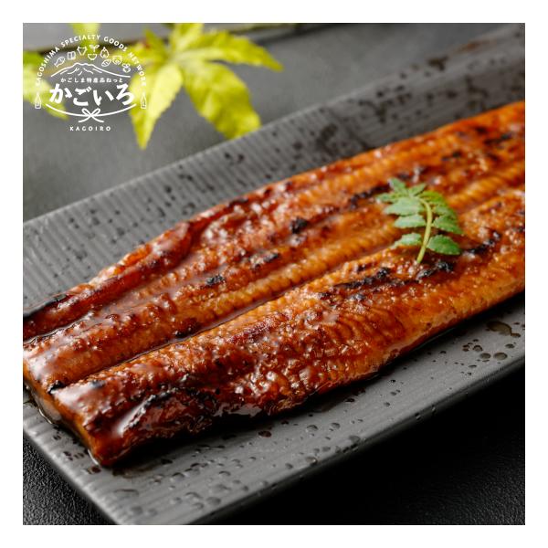 日本最大級の鰻産地である南九州。こだわり抜いた活鰻のみを使用しています。厳しい品質チェックを通過した活鰻を使用し、最新鋭の設備で美味しいうなぎ蒲焼を製造しております。鹿児島県産の鰻を皮はパリッと身はふっくらに秘伝のタレで香ばしく焼き上げまし...