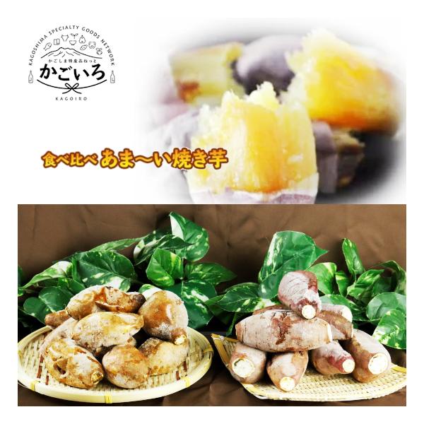 しっとりあま〜い紅はるかとねっとりあま〜い安納芋の食べ比べセット。どちらがあまいの？！・・・どちらもあま〜いです！食べてみなきゃわからない！どちらも食べたい！そんな皆様へ食べて頂きたいセット商品です。自分好みを見つけて下さい！運送会社名：ヤ...