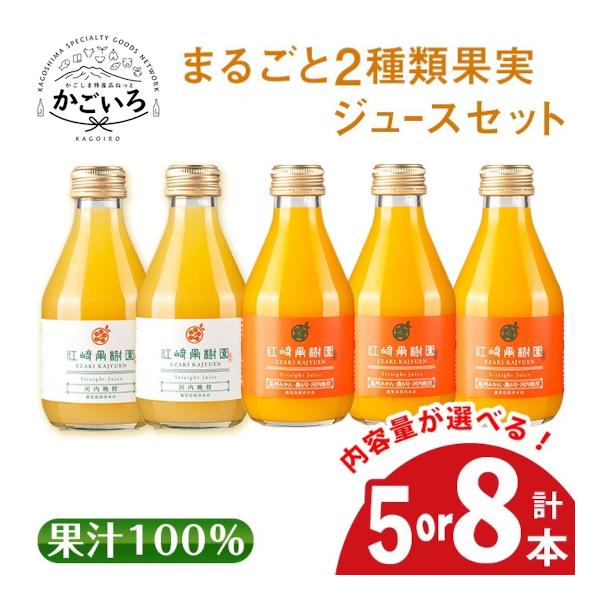 鹿児島県産 柑橘ストレートジュース 飲み比べセット＜江崎果樹園＞