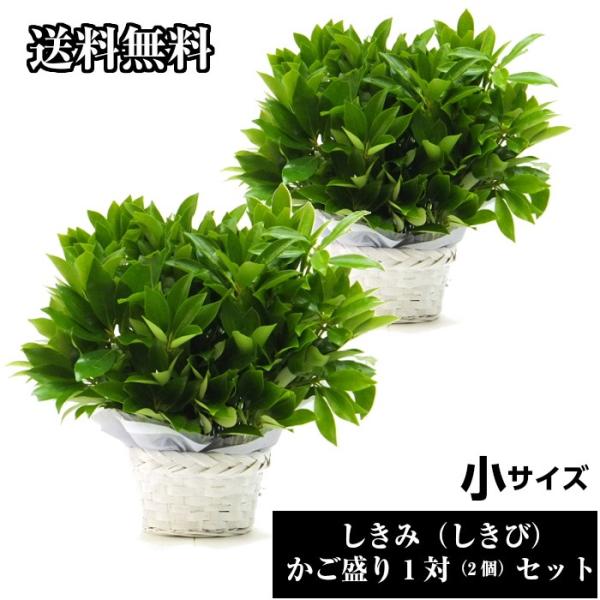 ΃Zbg      AW()Qg l\ 