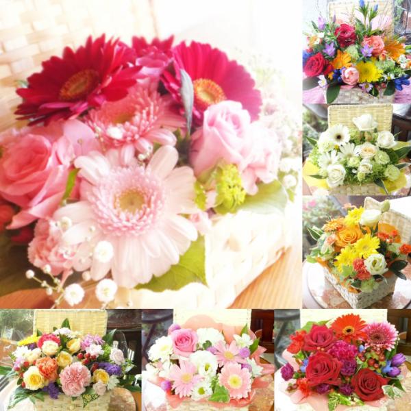 ＜ご確認ください＞画像の花材等は一例です。カラーの参考としてご覧ください★　敬老カードはメッセージ追加不可です。母の日、父の日、誕生日プレゼント、結婚記念日、卒業祝い、開店祝い、敬老の日からペットのお供えまで、あらゆるシーンでお使いいただけ...