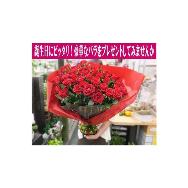 o ԑ a LO v[g 1{440~ {wOK 10{`60{ 10{w