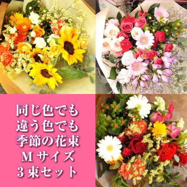  v[g t[Mtg ԑRZbg MTCY