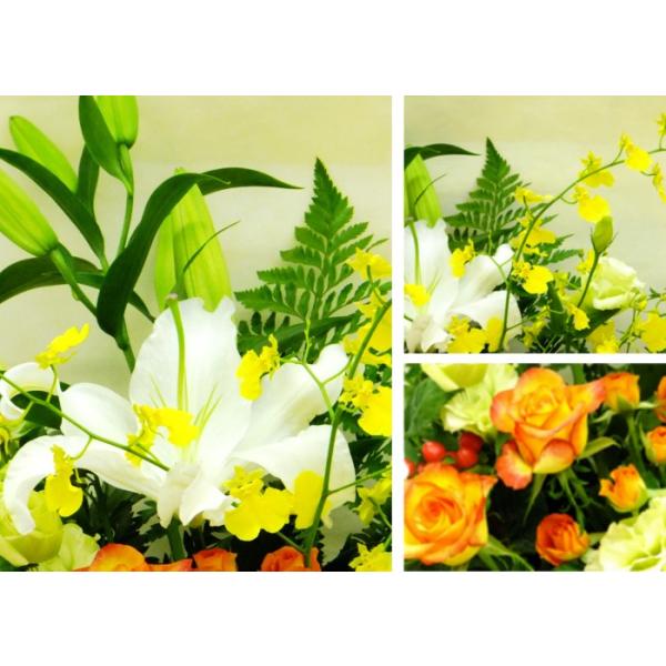花 ギフト 開店 受賞 周年祝い 白ユリ オレンジバラ 生花アレンジ Buyee Servis Zakupok Tretim Licom Buyee Pokupajte Iz Yaponii
