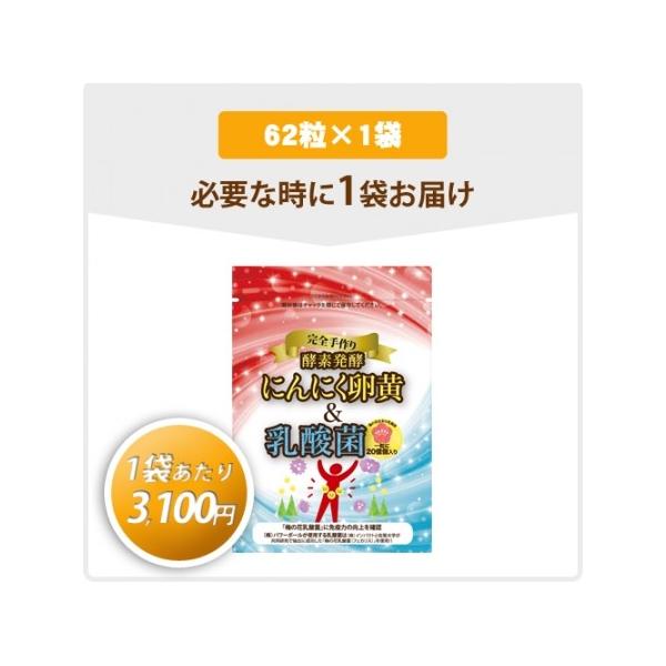 送料無料 完全手作り 酵素発酵 にんにく卵黄 乳酸菌 １袋62粒入 安心 安全 無添加 パワーボール Buyee Buyee Japanese Proxy Service Buy From Japan Bot Online