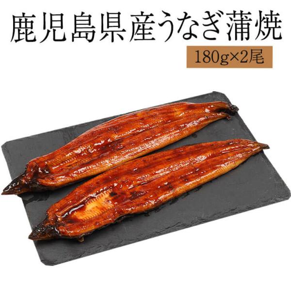 鰻 うなぎ 蒲焼 180g×2尾 鹿児島県産 うなぎの蒲焼 惣菜 レトルト 冷蔵 セット ギフト プレゼント 送料無料 エーエフ かごしまや