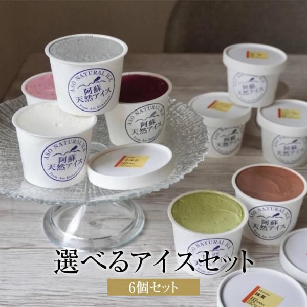 選べるアイスセットギフト 6個入り スイーツ ジェラート セット お菓子 ギフト プレゼント 贈答用 熊本県 阿蘇市 阿蘇天然アイス タビグルメ