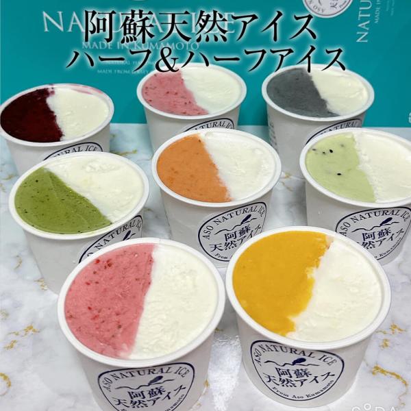 阿蘇天然アイス ハーフ&ハーフアイス スイーツ ジェラート 8個入り セット お菓子 ギフト プレゼント 贈答用 熊本 阿蘇天然アイス タビグルメ