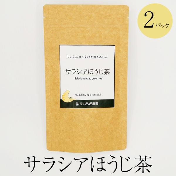 お茶 サラシアほうじ茶 1パック1g×6本入×2 サラシア ほうじ茶 粉末