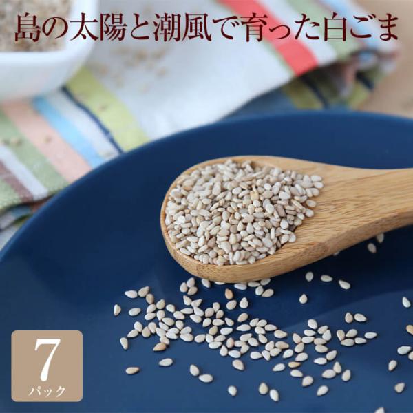 kagoshima-uriba_kikaijima-10