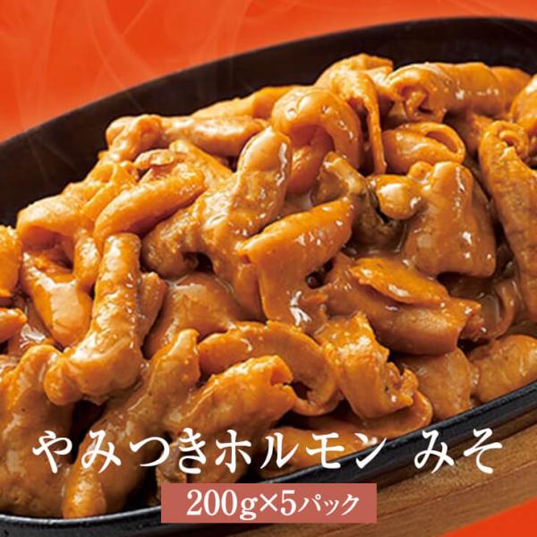 ホルモン ミックス ナンチクのやみつきホルモン みそ 200g × 5パック