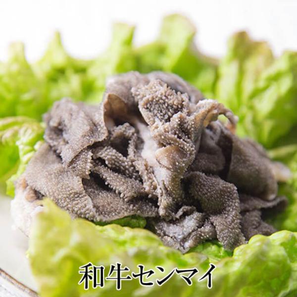 和牛センマイ 100g × 5パック 和牛 高品質 牛肉 センマイ おつまみ ご飯のお供 焼肉 ギフト プレゼント 小分け 国産 業務用 送料無料 サンシャインミート か…