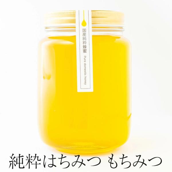 純粋はちみつ もちみつ 1kg 美味しい おすすめ 国産 蜂蜜 まろやか
