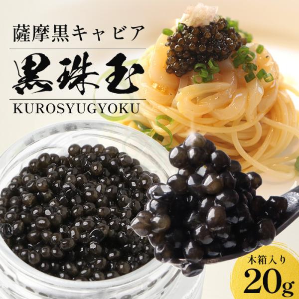 【期間限定】薩摩黒キャビア 黒珠玉 キャビア プレゼント 三大珍味 記念日 誕生日 国産 お取り寄せ グルメ おつまみ 内祝 お返し 鹿児島水産高校 鹿児島 枕崎