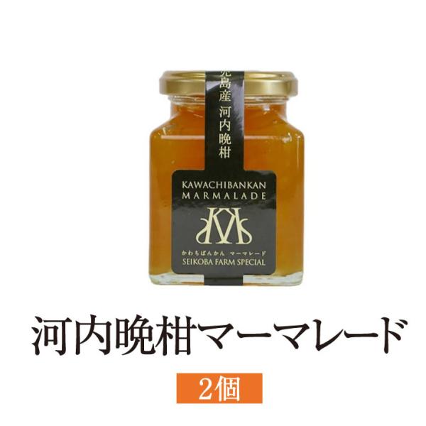 ジャム マーマレード 河内晩柑マーマレード 180g 2個入 金柑 柑橘 フルーツ 使い切り 国産 九州産 鹿児島産 送料無料 清木場果樹園 タビグルメ