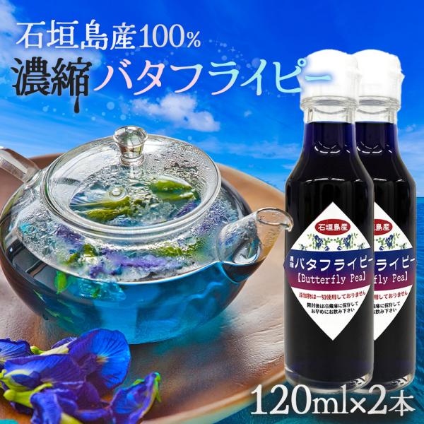 石垣島産100%　濃縮バタフライピー　120ml×2本　TS-7