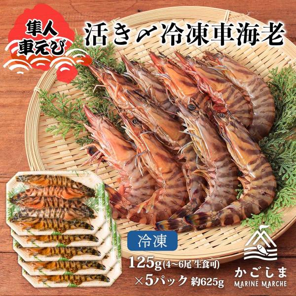 [隼人車えび] 海鮮 活き〆冷凍車海老約125g(4~6尾)×5パック(生食可) 約625g/えび/車エビ/真空パック/鮮度/新鮮/鹿児島/急速/刺身/贈り物/ギフト/お中元/お歳暮
