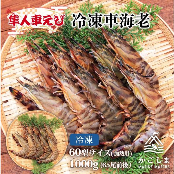[隼人車えび] 海鮮 冷凍車海老60型サイズ（加熱用） 1,000g(65尾前後)/車エビ/くるまえび/鹿児島県産/お歳暮/お中元/ギフト/プレゼント/エビフライ/天ぷら