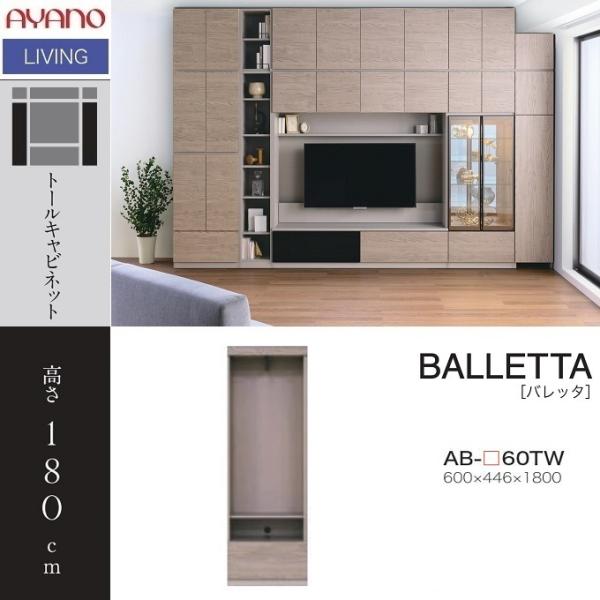 kagu-hiraka_ayano-ab-60tw
