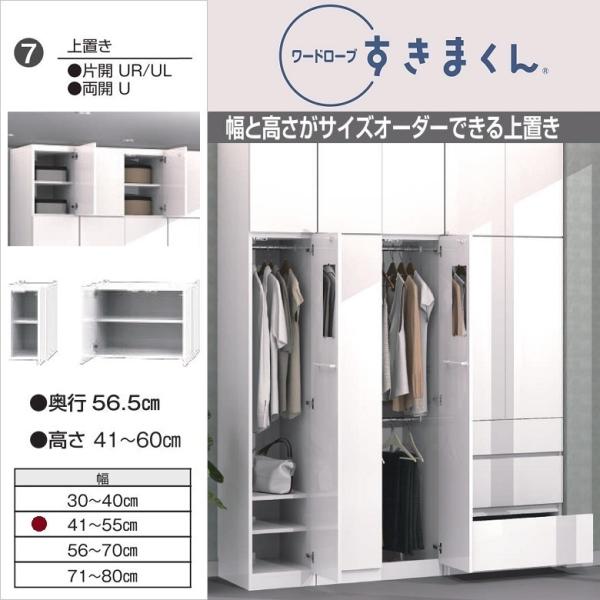 kagu-hiraka_fujii-wsd-u-41-55-