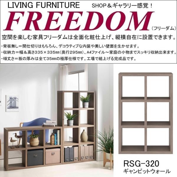 フナモコ（FUNAMOCO） 両面シェルフ フリーダム RSG-320 間仕切り